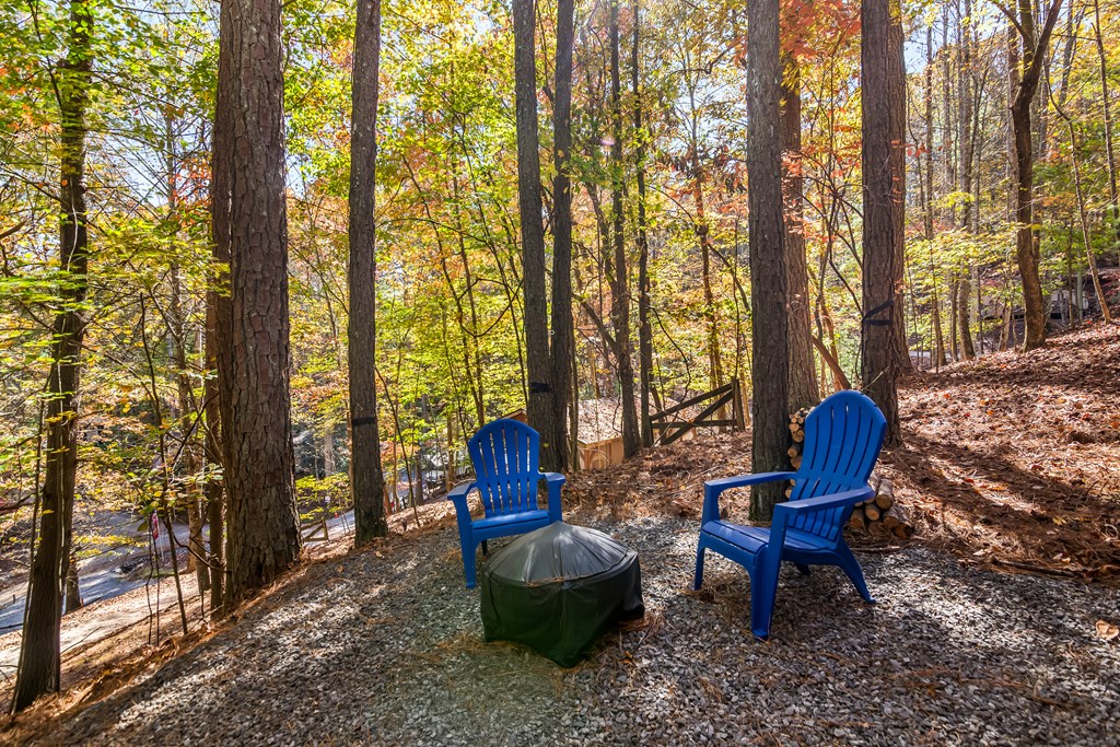 151 33rd Street Ellijay, GA 30540 - Photo 21 of 25 Gallery Image 21