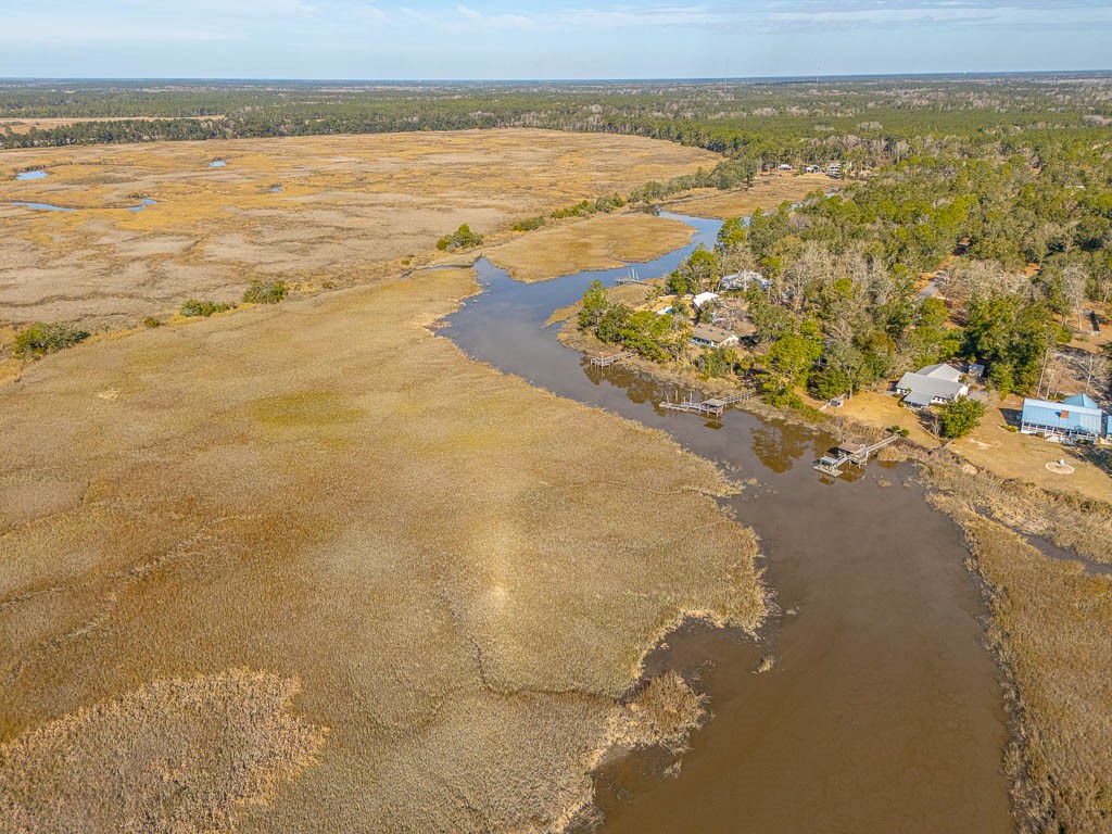 1448 Horseshoe Cove Road Waverly, GA 31565 - Photo 37 of 38