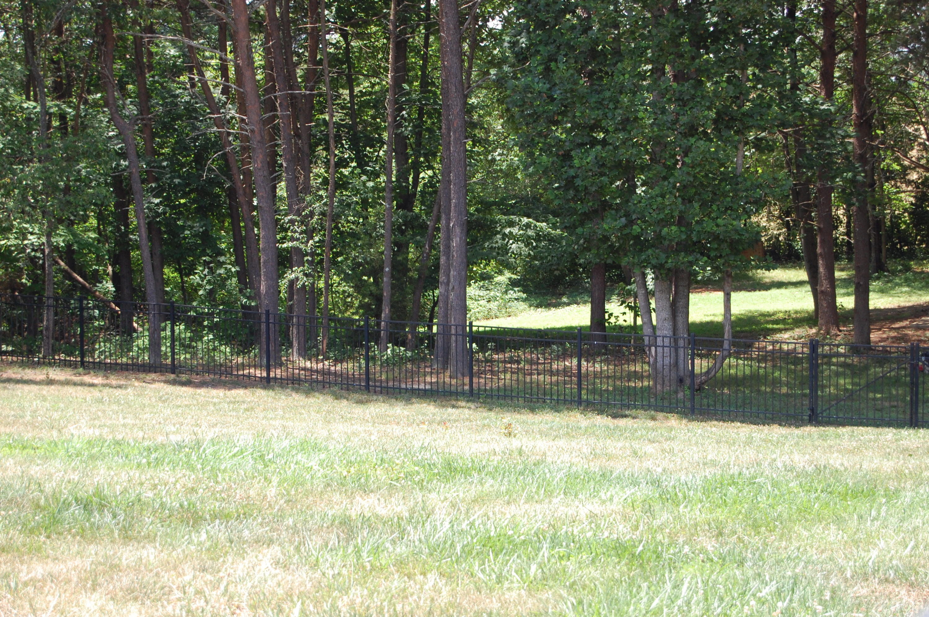 1231 Houston Springs Road Greenback, TN 37742 - Photo 16 of 39 DSC_0207