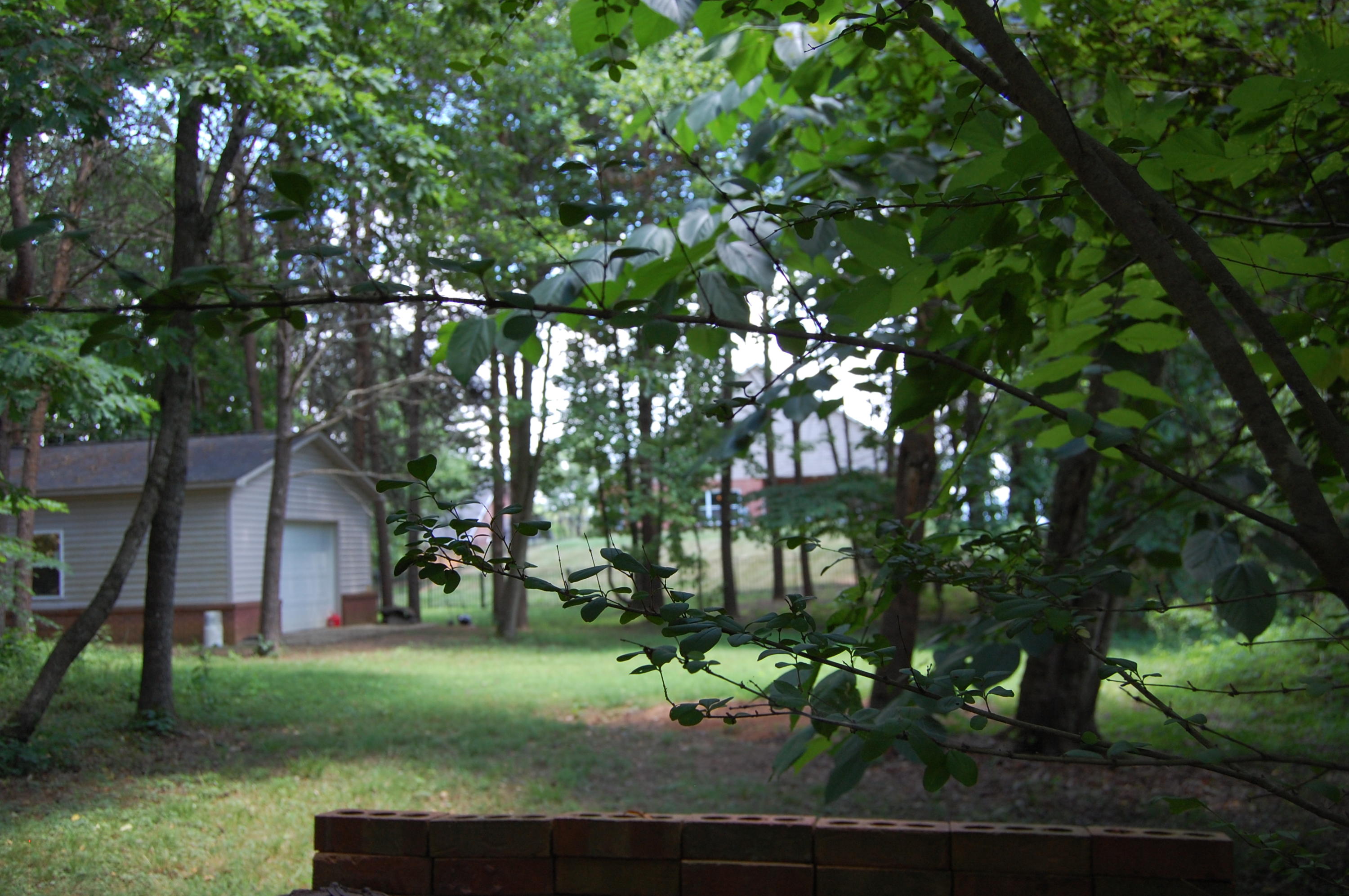1231 Houston Springs Road Greenback, TN 37742 - Photo 17 of 39 DSC_0236