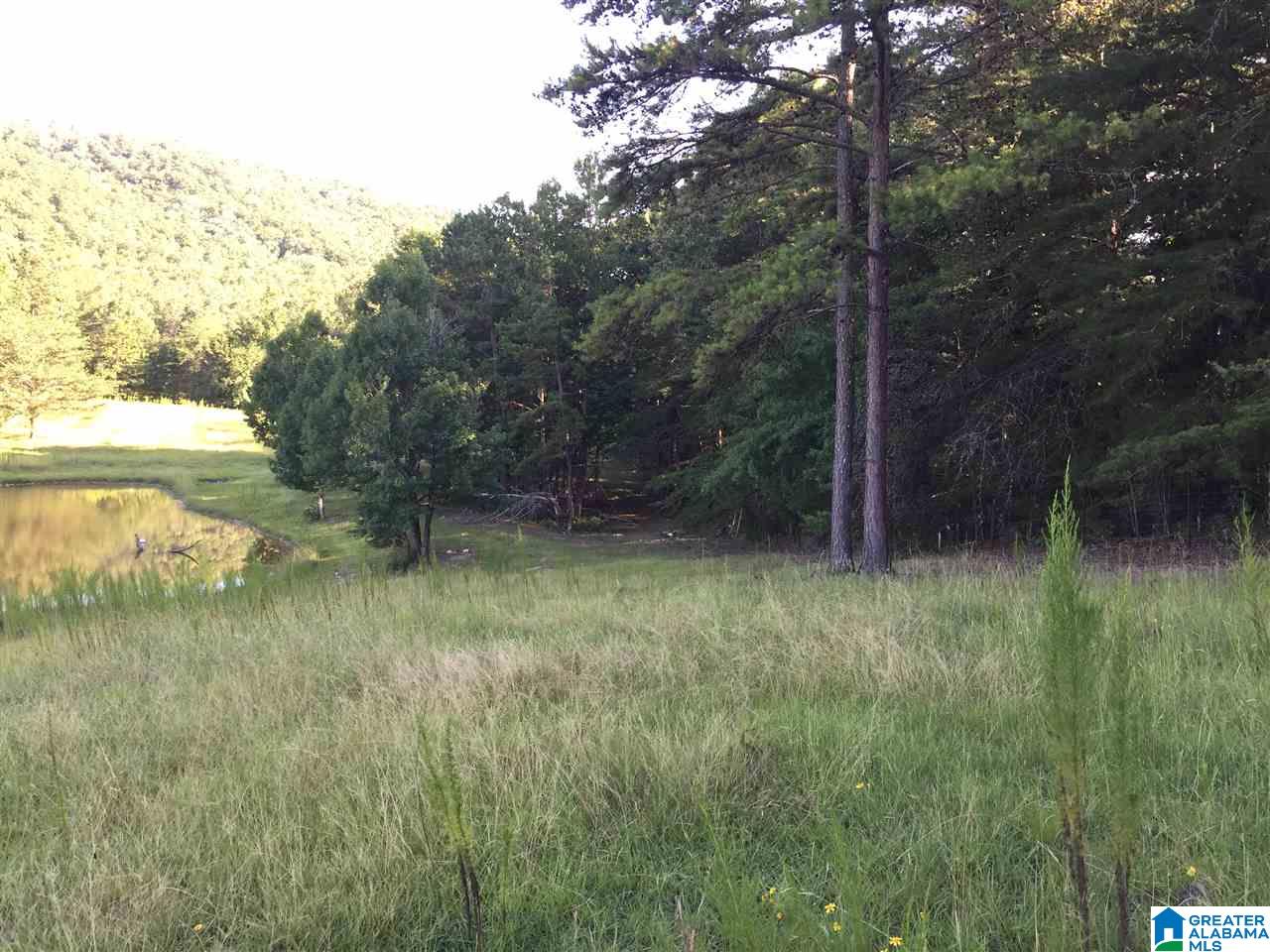 0 Valley Creek Road Piedmont, AL 36272 - Photo 24 of 28