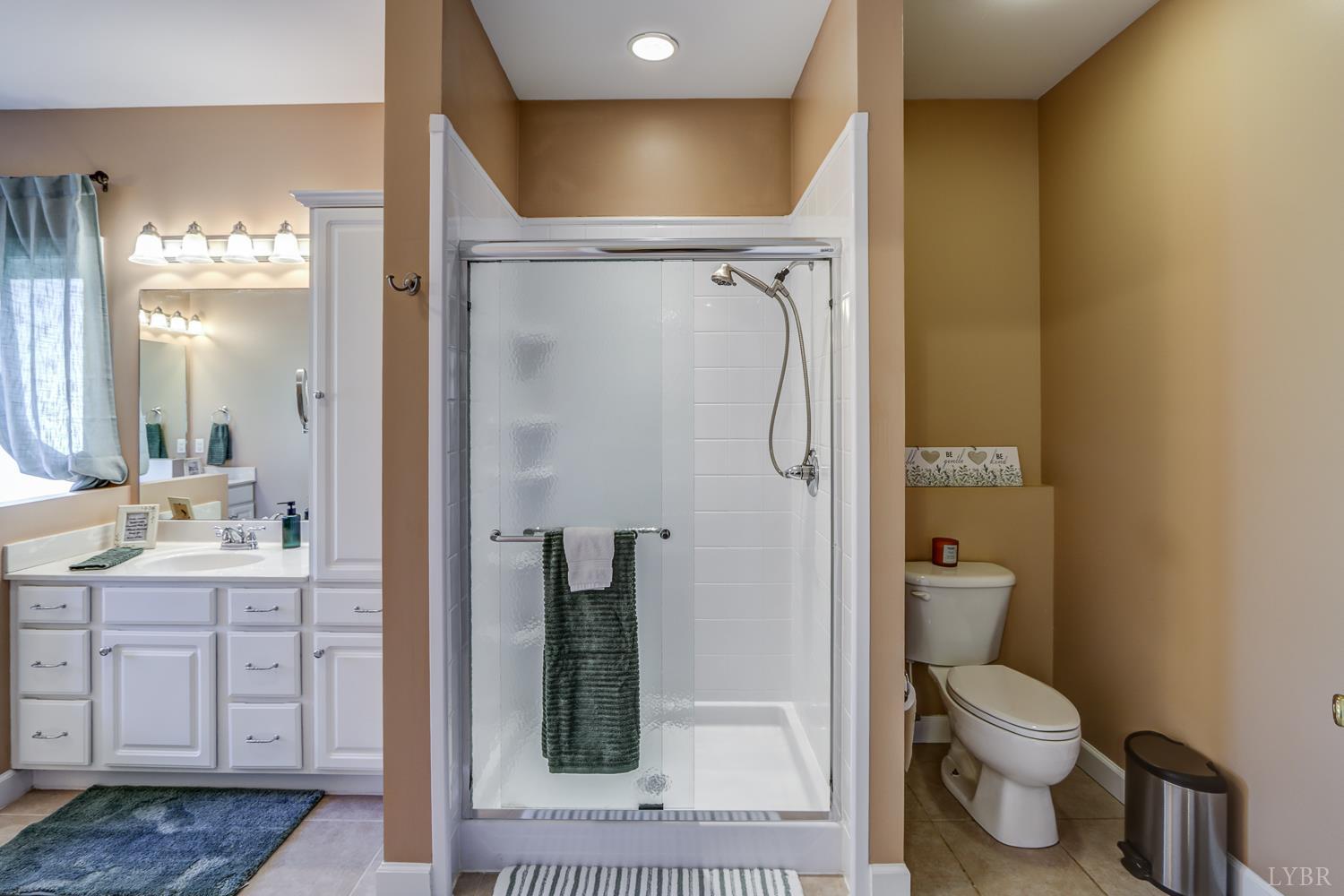 1315 Donnally Road Forest, VA 24551 - Photo 36 of 74 a bathroom with a toilet a sink and shower