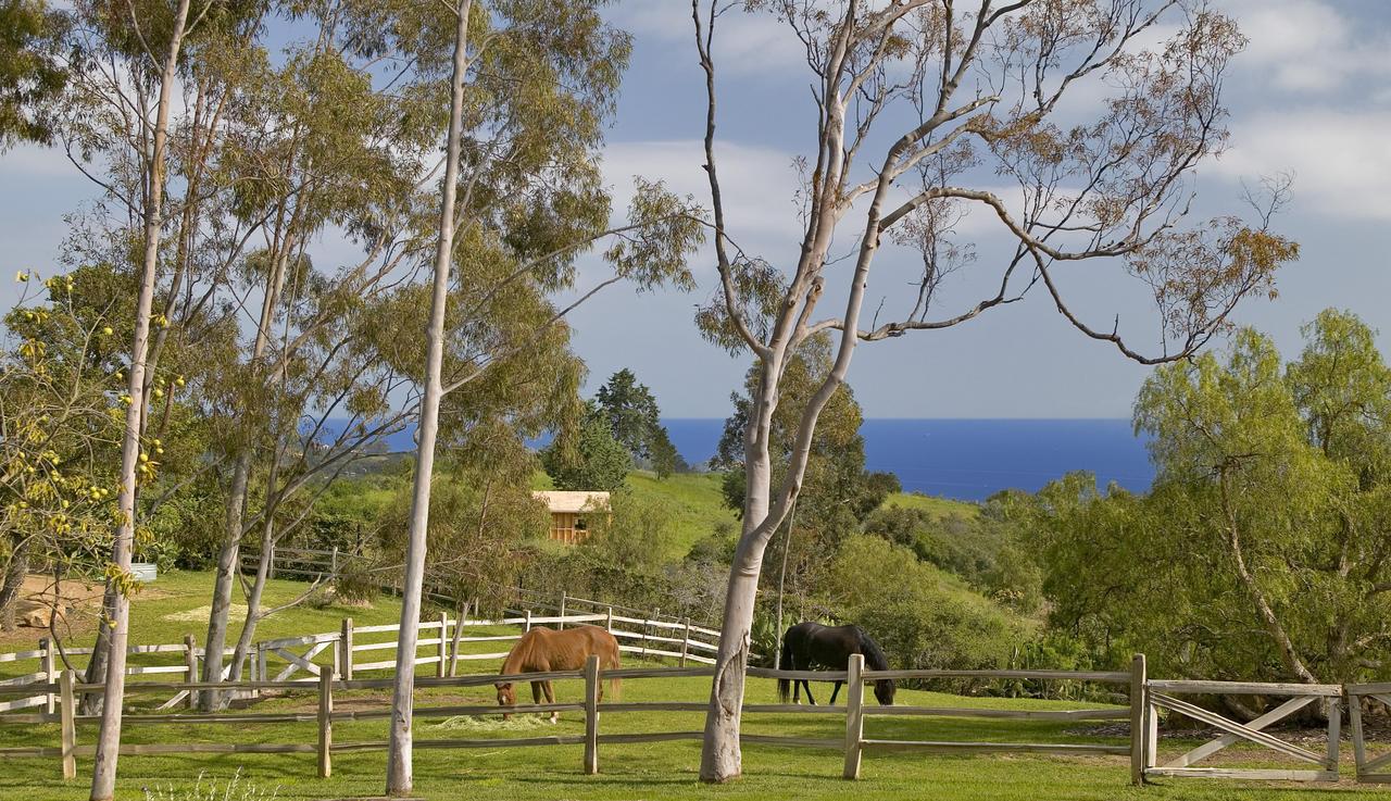 a view of a yard with basketball court