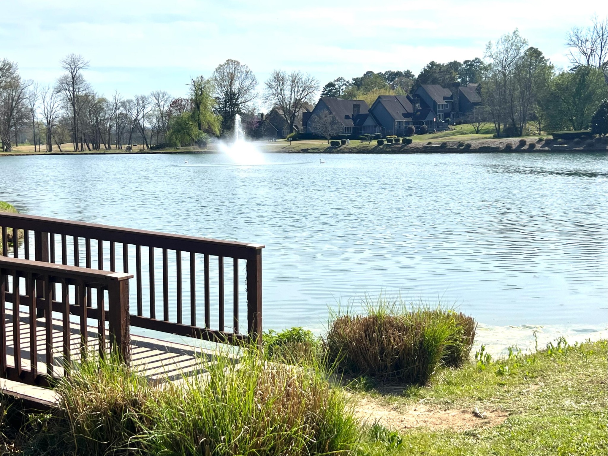 467 Wisley Way Ringgold, GA 30736 - Photo 6 of 40 a view of a lake from a yard