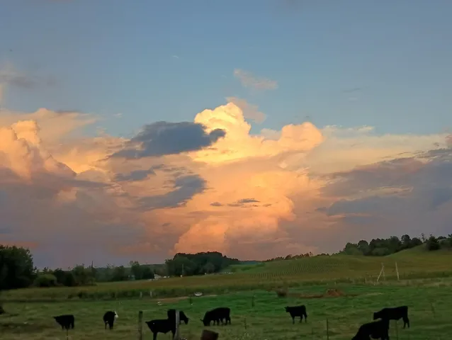 $315,900 | W1919 County Road West, Eleva, WI 54738