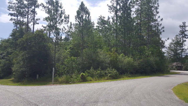 5 Steelwood Ridge Road Loxley, AL 36551 - Photo 1 of 3
