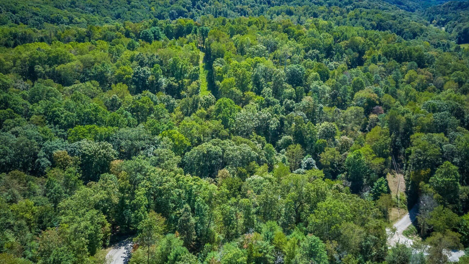 0 Paradise Road Southeast Sugar Grove, OH 43155 - Photo 16 of 19 16-zj Paradise Rd.015-2