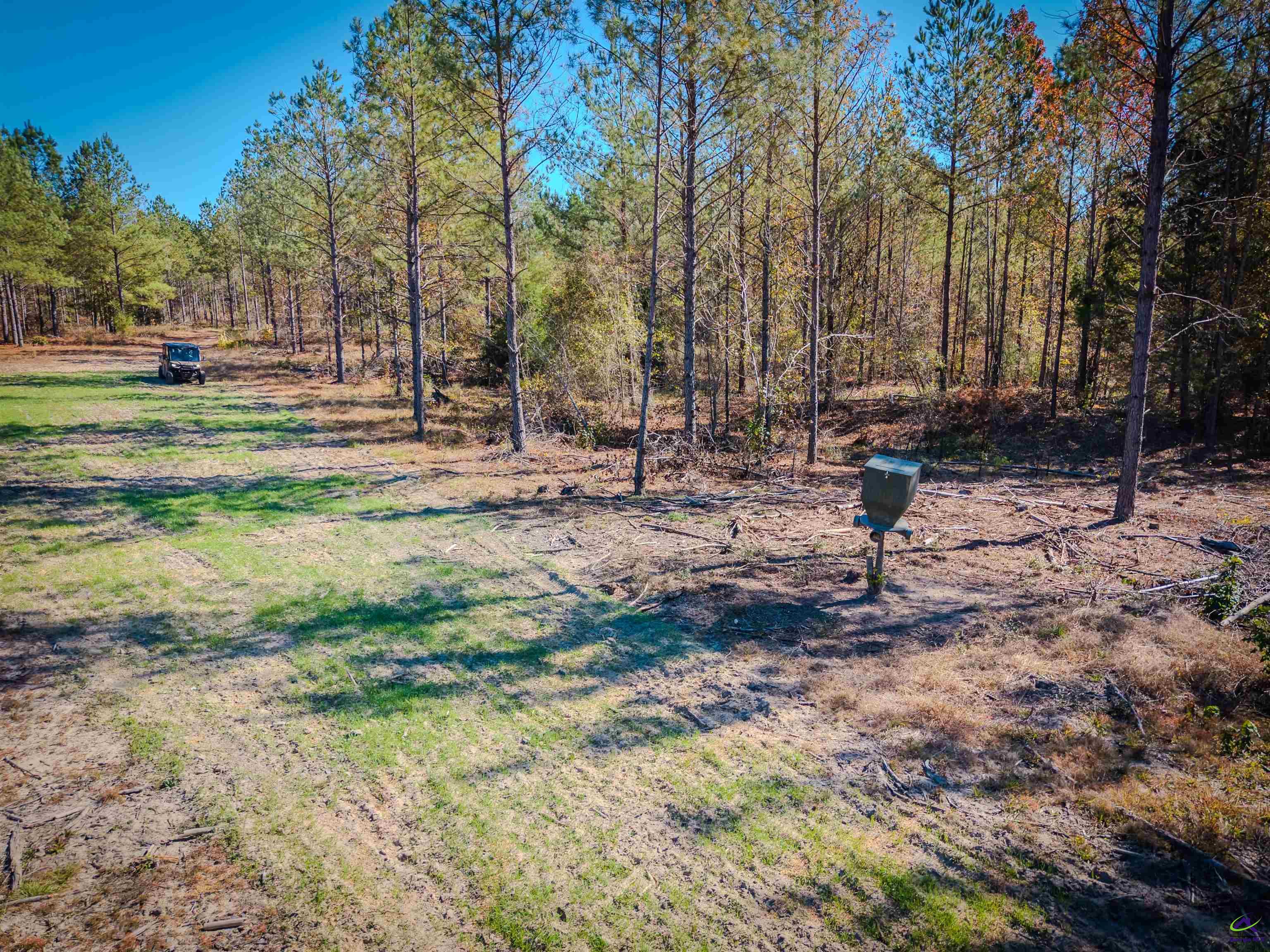 1446 Avera Road Roberta, GA 31078 - Photo 10 of 33