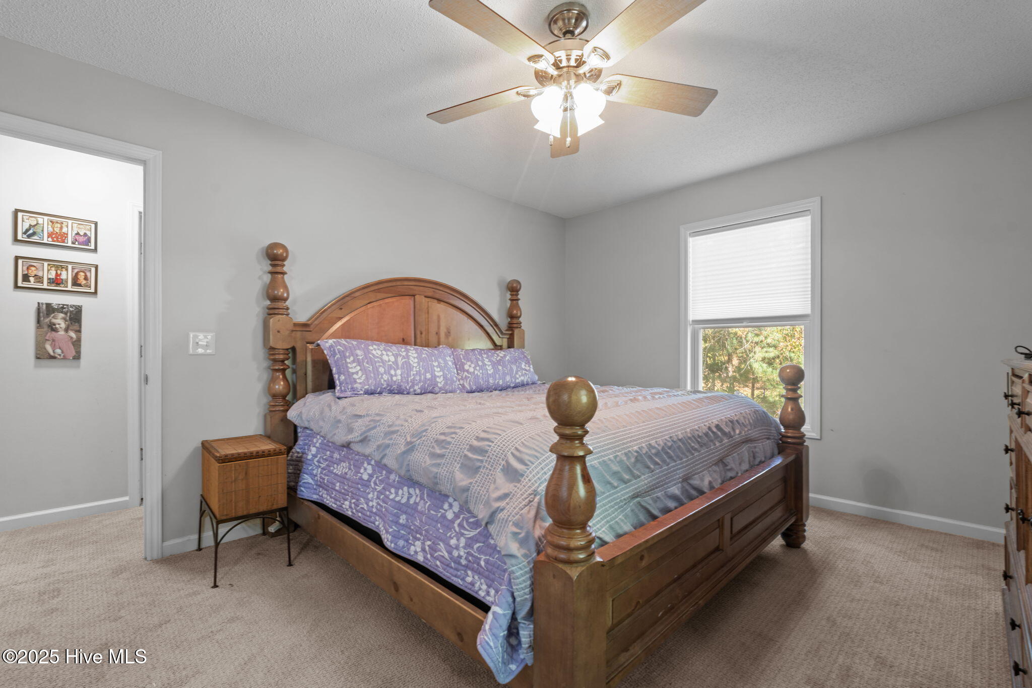 215 North Pear Street Pinebluff, NC 28373 - Photo 40 of 57 Master Bedroom