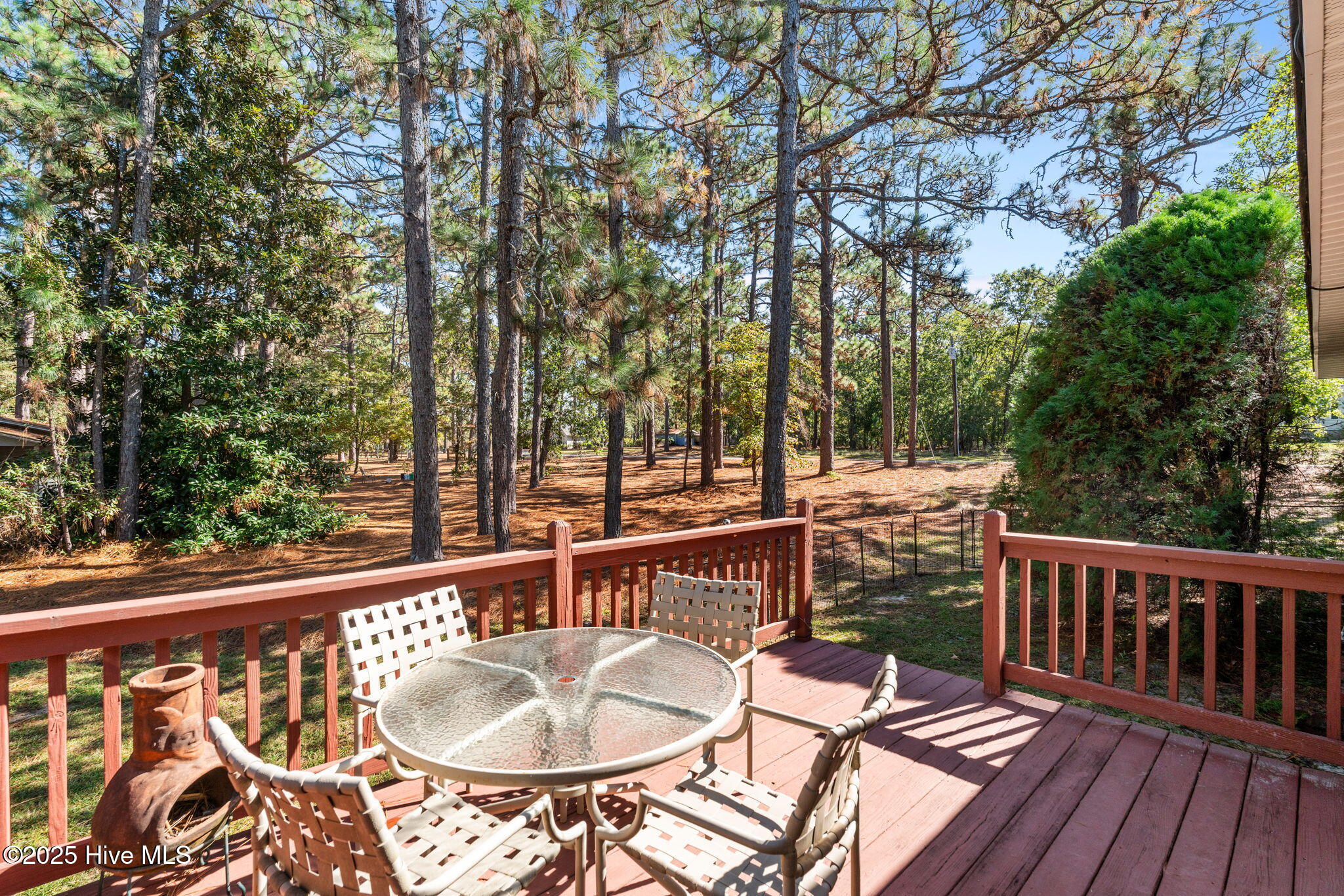 215 North Pear Street Pinebluff, NC 28373 - Photo 47 of 57 Deck
