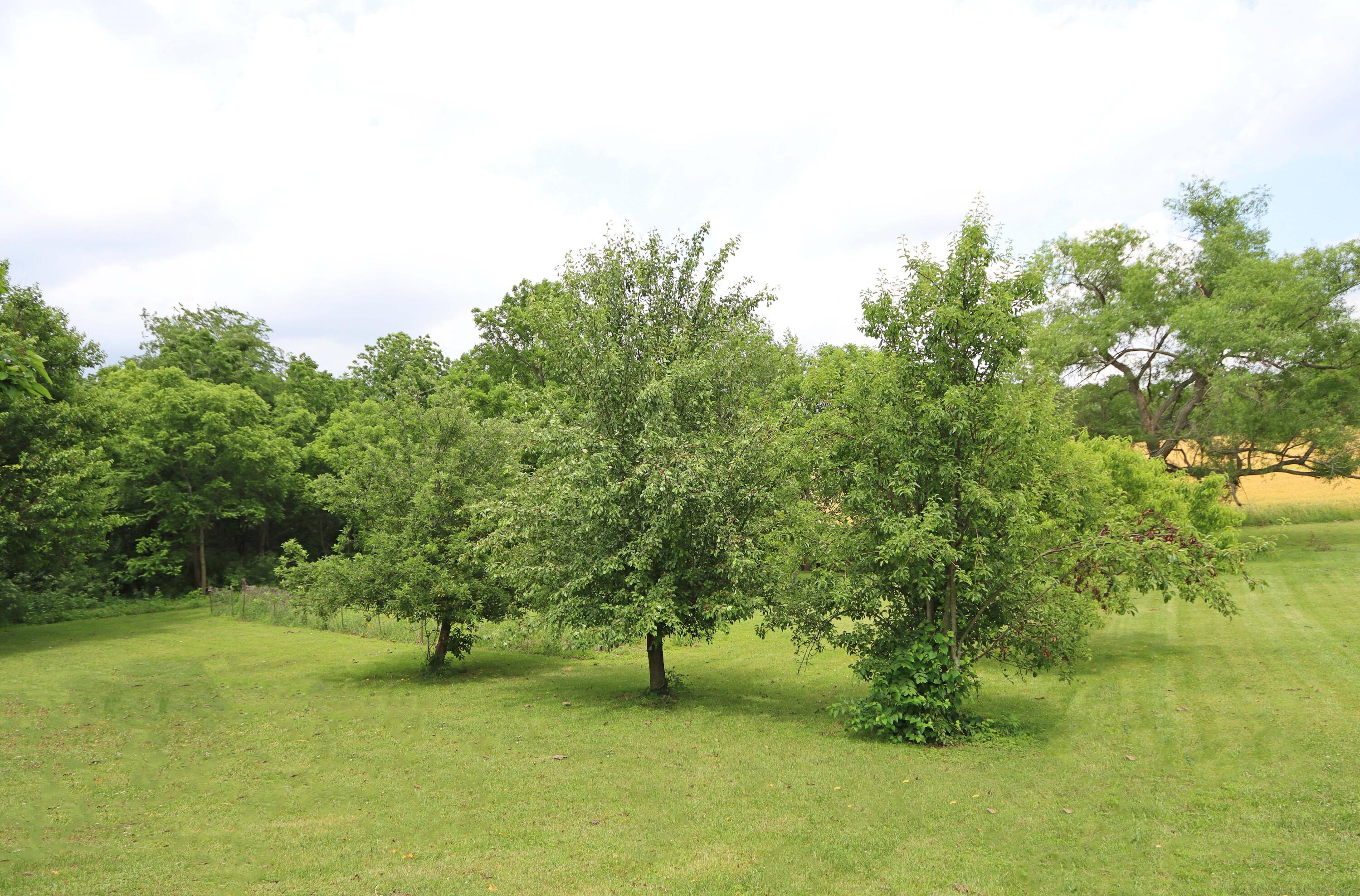 4560 Bowers Road Cable, OH 43009 - Photo 47 of 63