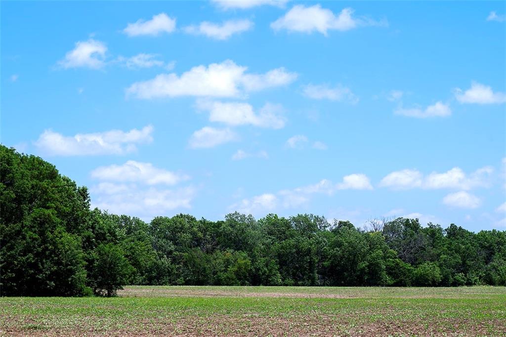Tbd Road Rich Hill, MO 64779 - Photo 9 of 19