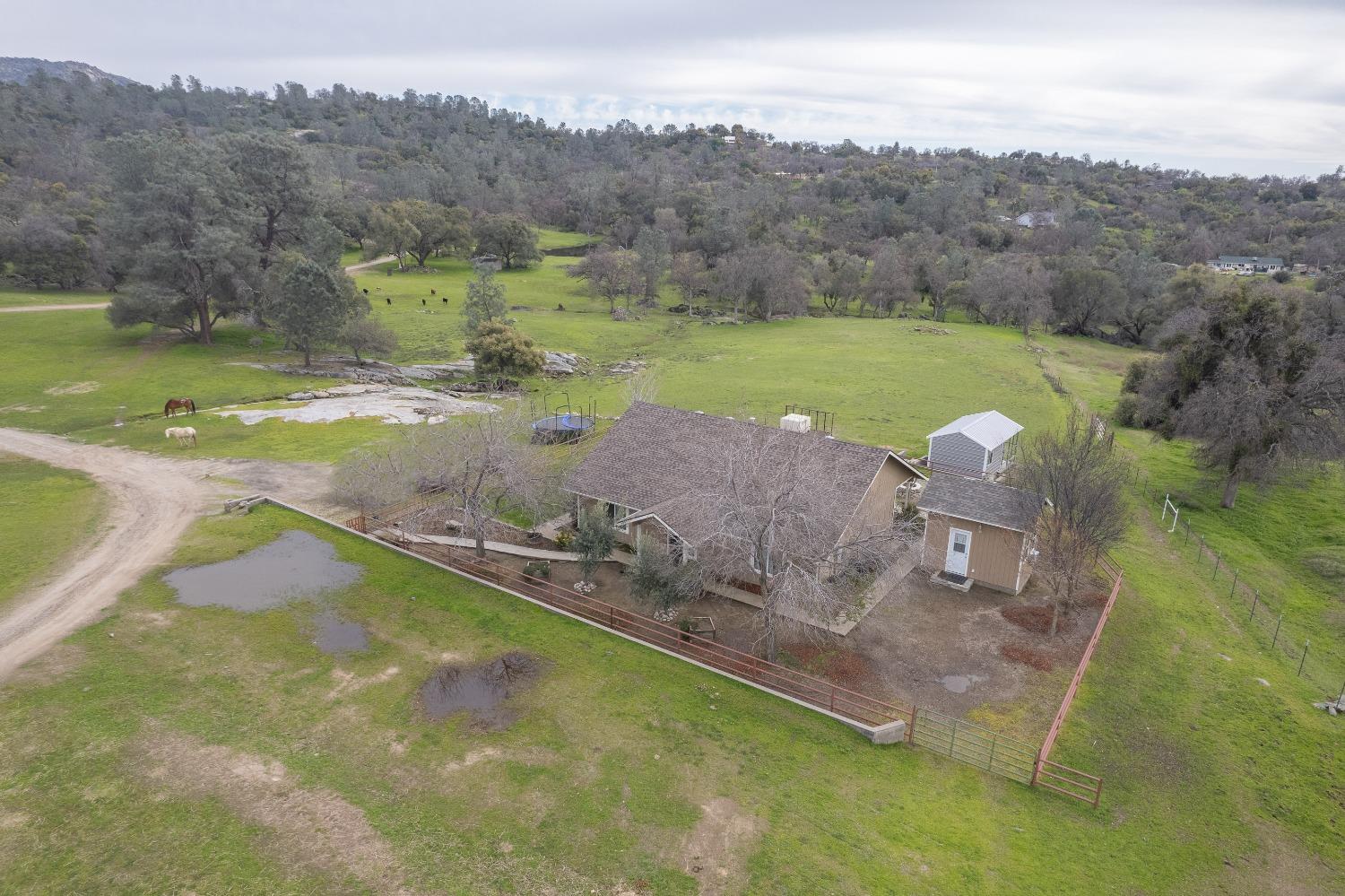 30128 Auberry Road Prather, CA 93651 - Photo 72 of 99 a view of a swimming pool with a yard
