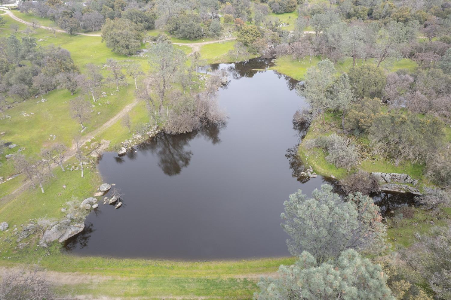 30128 Auberry Road Prather, CA 93651 - Photo 88 of 99