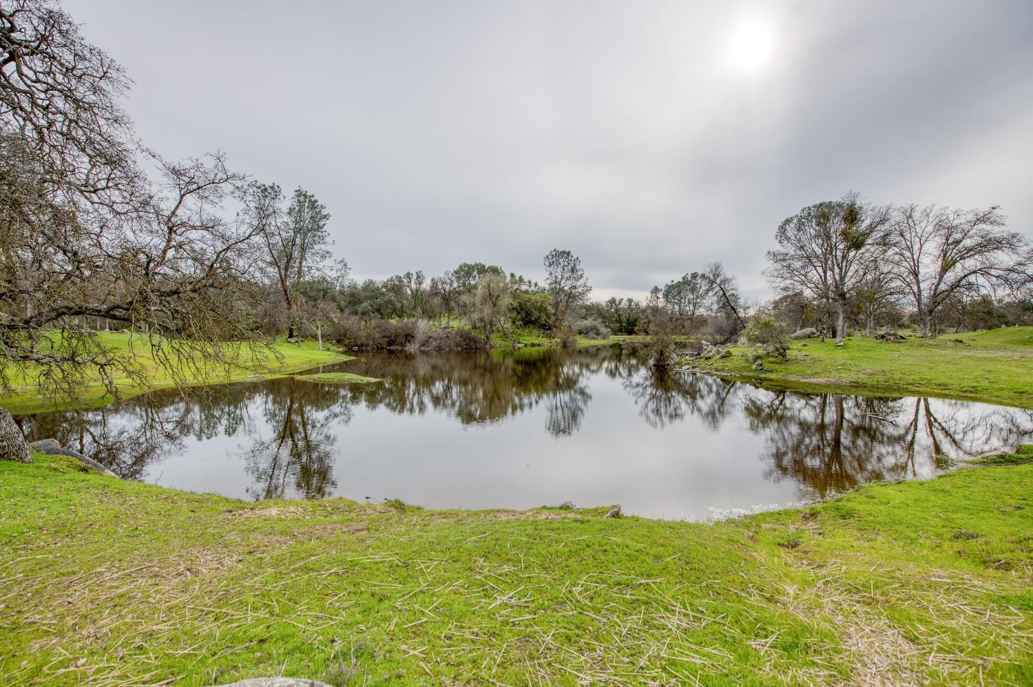 30128 Auberry Road Prather, CA 93651 - Photo 90 of 99 a view of a lake from a yard
