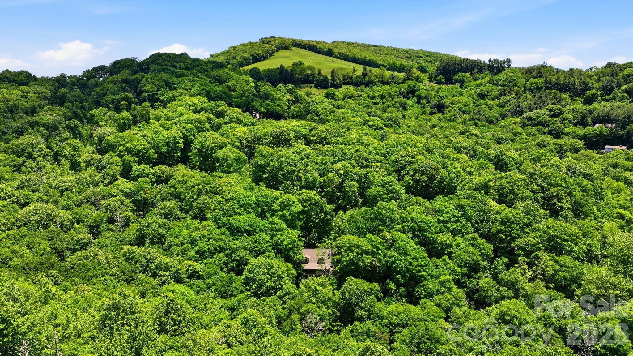 311 Copper Spur Road Maggie Valley, NC 28751 - Photo 41 of 45