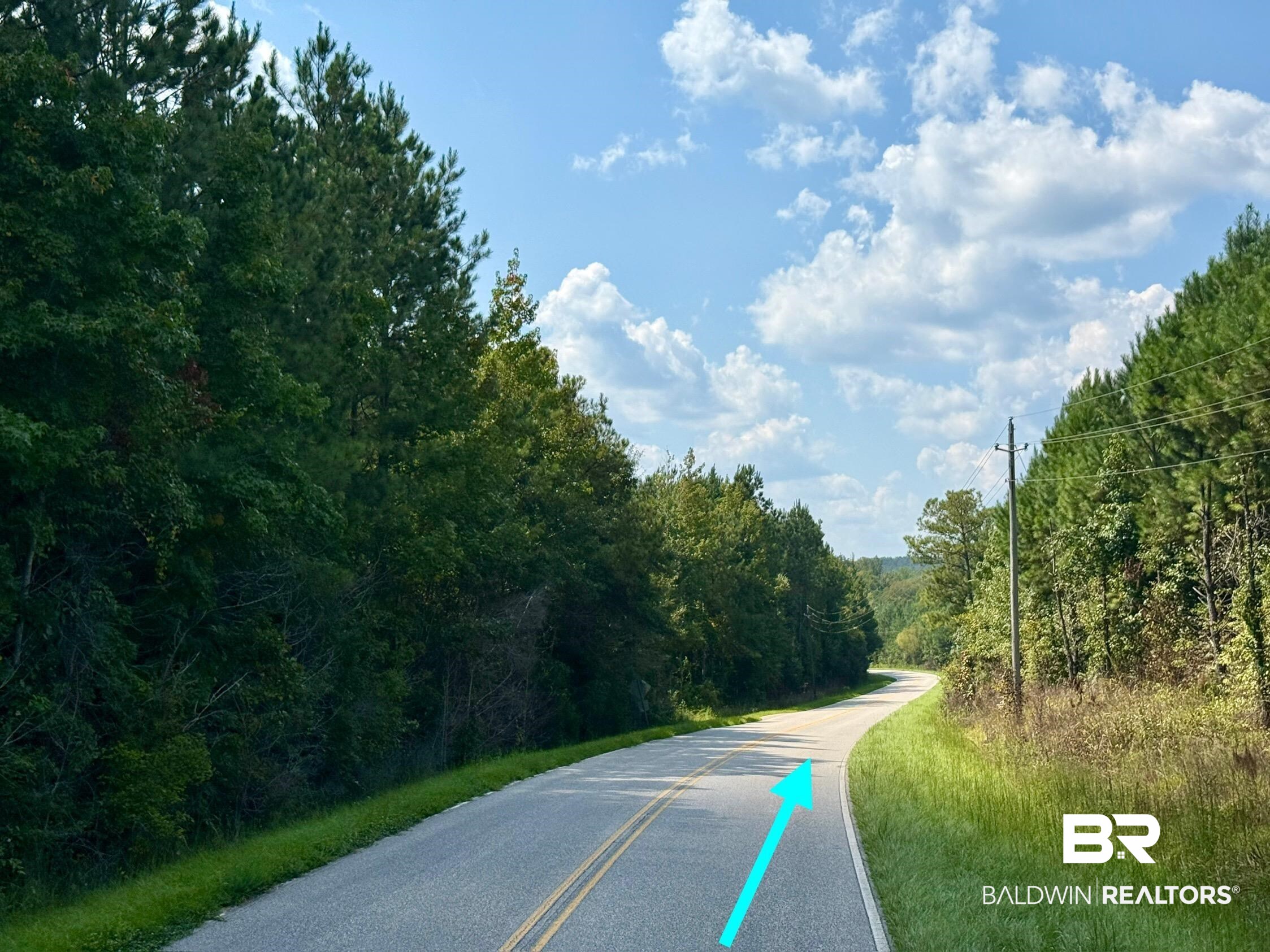 13850 Tallahatta Springs Road Thomasville, AL 36784 - Photo 3 of 27 View of asphalt street with a wooded view