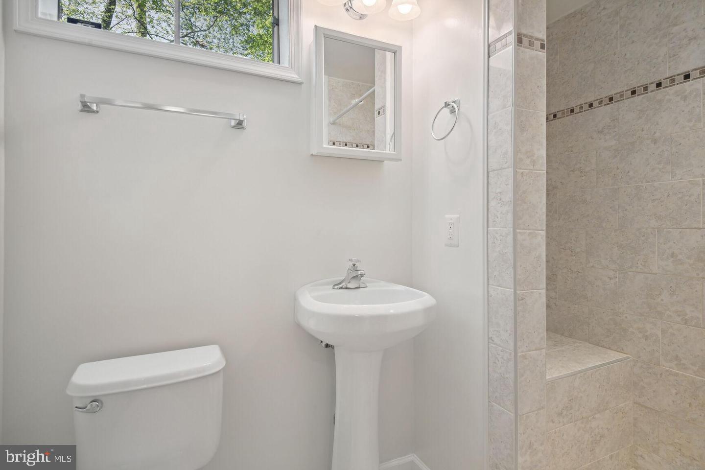 100 Summit Hall Road Gaithersburg, MD 20877 - Photo 20 of 28 Lower level full bathroom