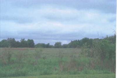 East Scout Road, Unit PAR A Walkerville, MI 49459 - Photo 1 of 1 Primary Photo