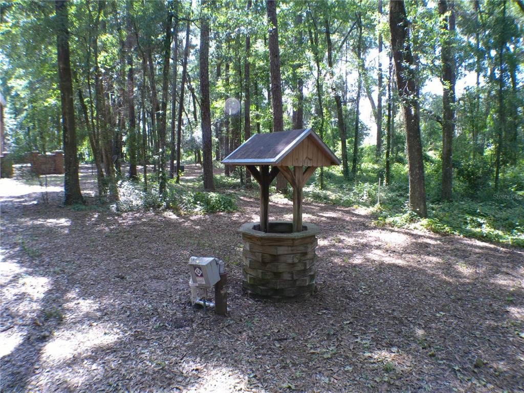 415 Southeast 123rd Street Road Ocala, FL 34480 - Photo 44 of 50 a view of a table and chairs in the backyard with large trees