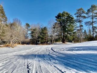 144 Bucksmills Road Bucksport, ME 04416 - Photo 21 of 24 IMG_1441