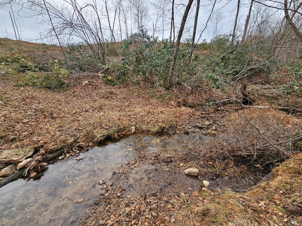 Tbd Birchtree Road Hillsville, VA 24343 - Photo 6 of 15 Gallery Image 6