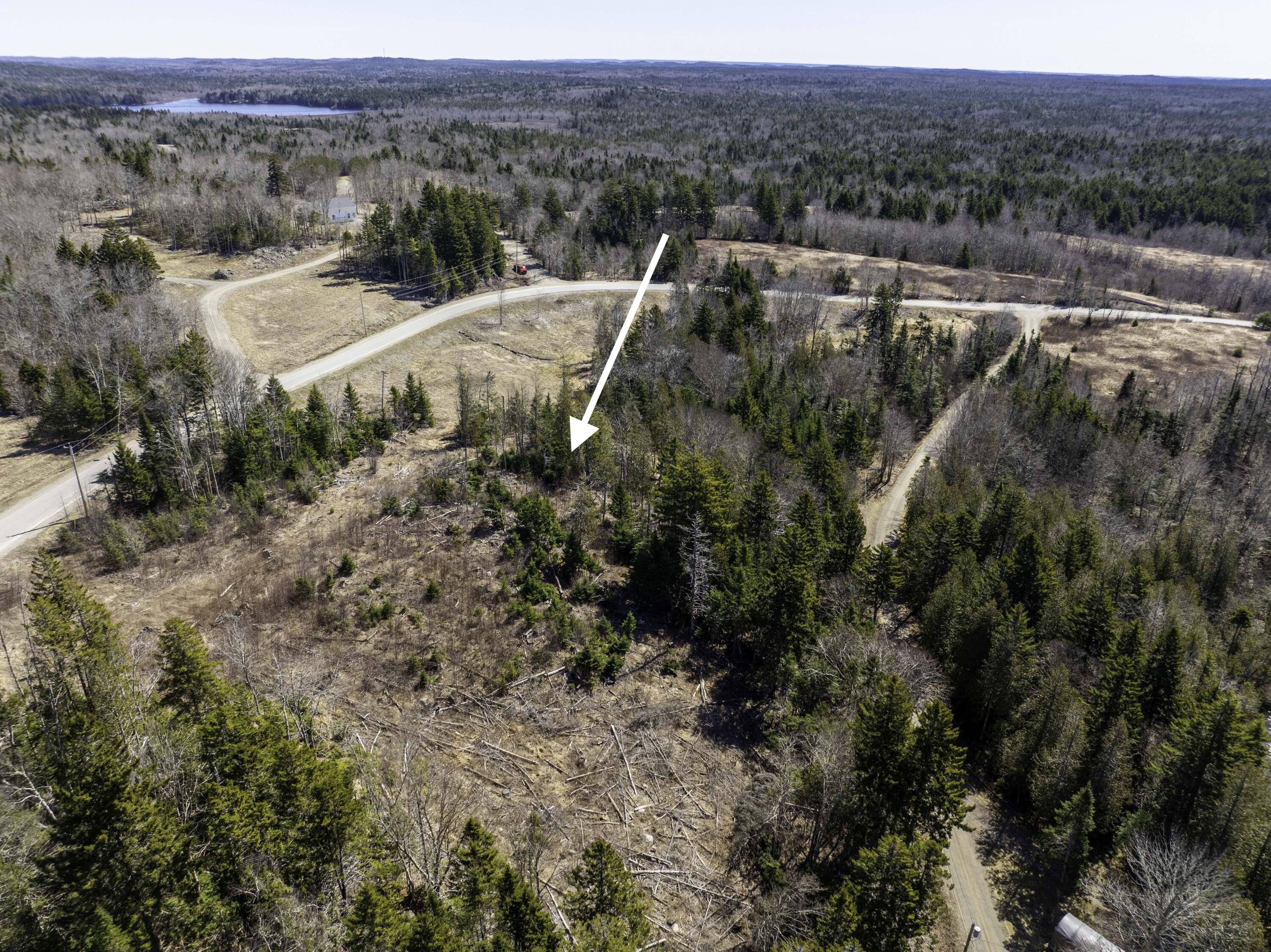Lot 19-13d Halls Mills Road Whiting, ME 04691 - Photo 4 of 9