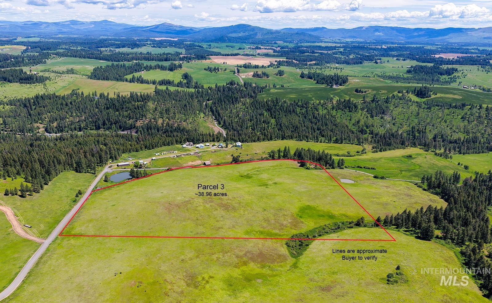 Tbd Tbd Johnson Road, Unit 3 Deary, ID 83823 - Photo 3 of 18