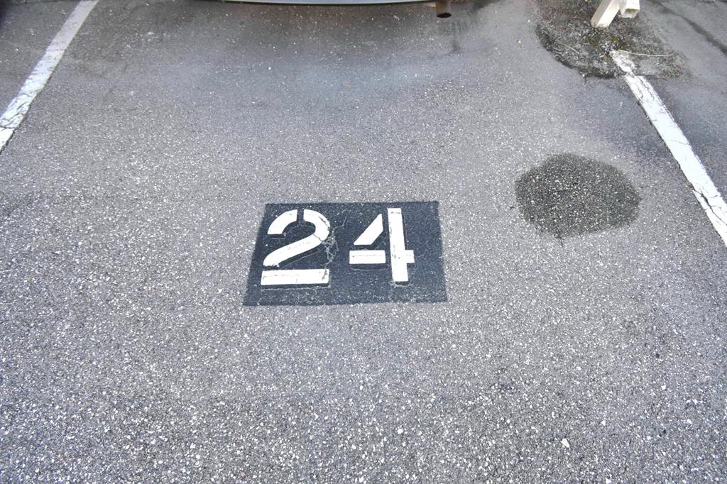 970 Virginia Street, Unit 308 Dunedin, FL 34698 - Photo 23 of 25