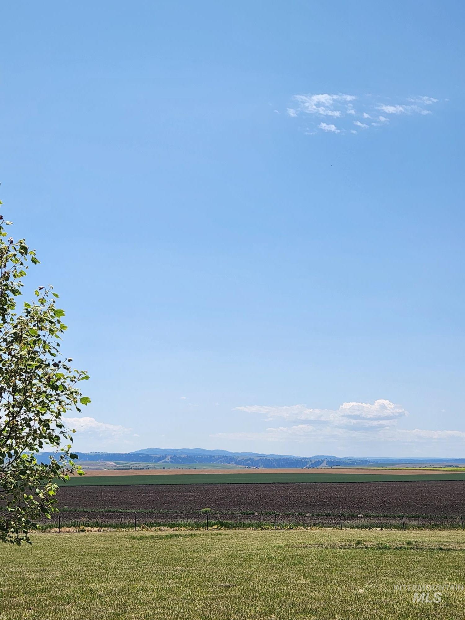 232 Camas Road Grangeville, ID 83530 - Photo 4 of 32