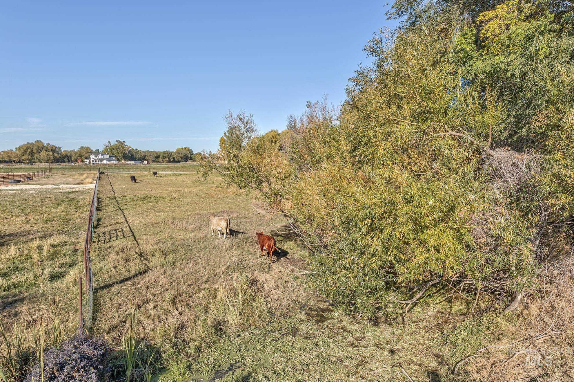 28552 Market Road Caldwell, ID 83607 - Photo 45 of 50 View of yard featuring a view of rural / pastoral area