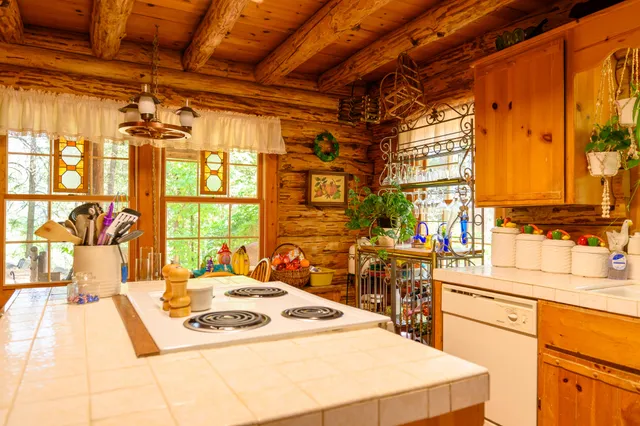 a kitchen with a sink a stove and a refrigerator
