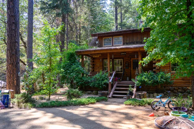 a view of a backyard with plants and chairs