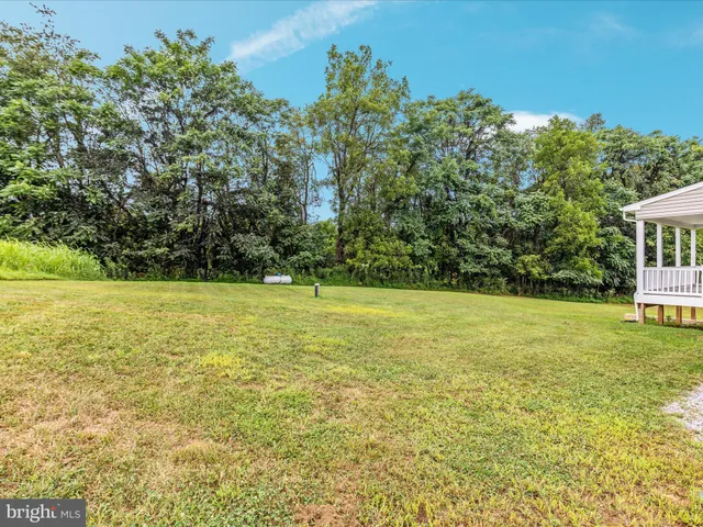 a view of a garden with a lake