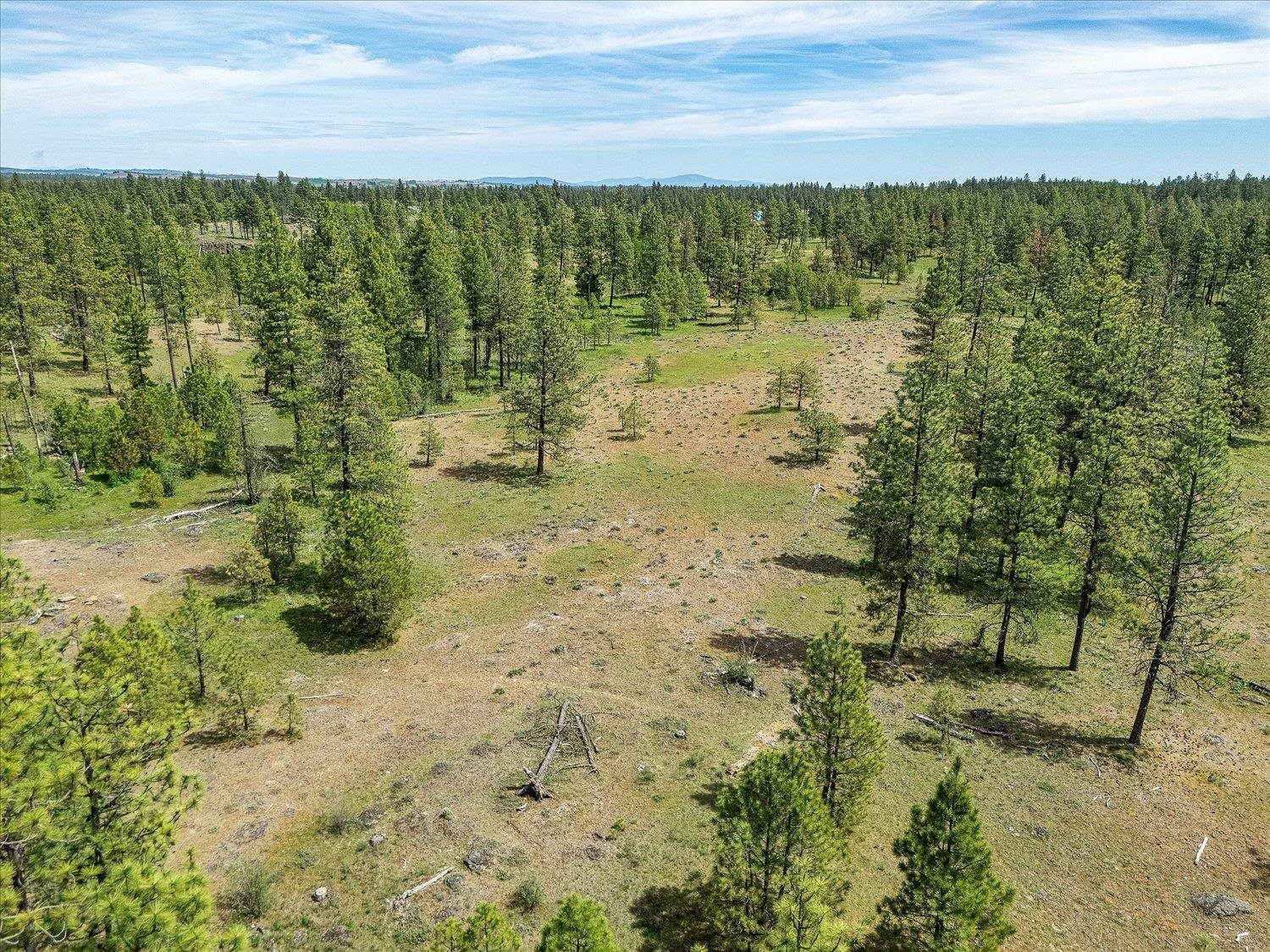 23755 South Ritchey Road Cheney, WA 99004 - Photo 26 of 34