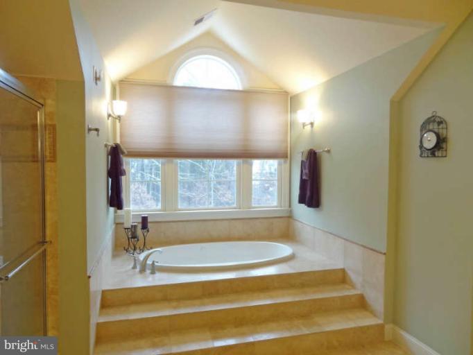 6732 Cedar Spring Road Centreville, VA 20121 - Photo 22 of 27 Bath (Master)