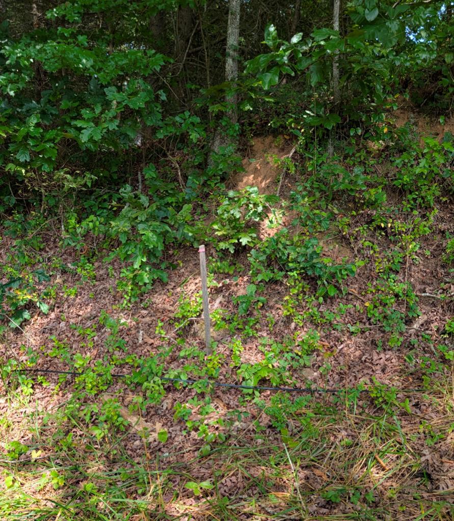 6.0 Old River Camp Road Copperhill, TN 37317 - Photo 2 of 2 a backyard of a house with lots of plants and green space