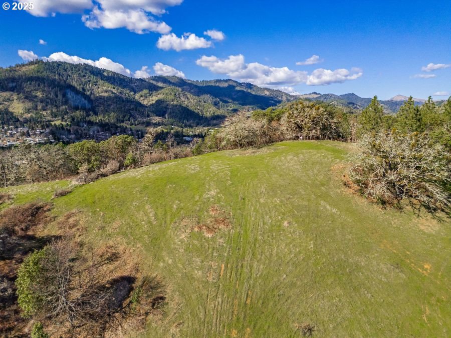 1682 East Riverside Drive Myrtle Creek, OR 97457 - Photo 29 of 32