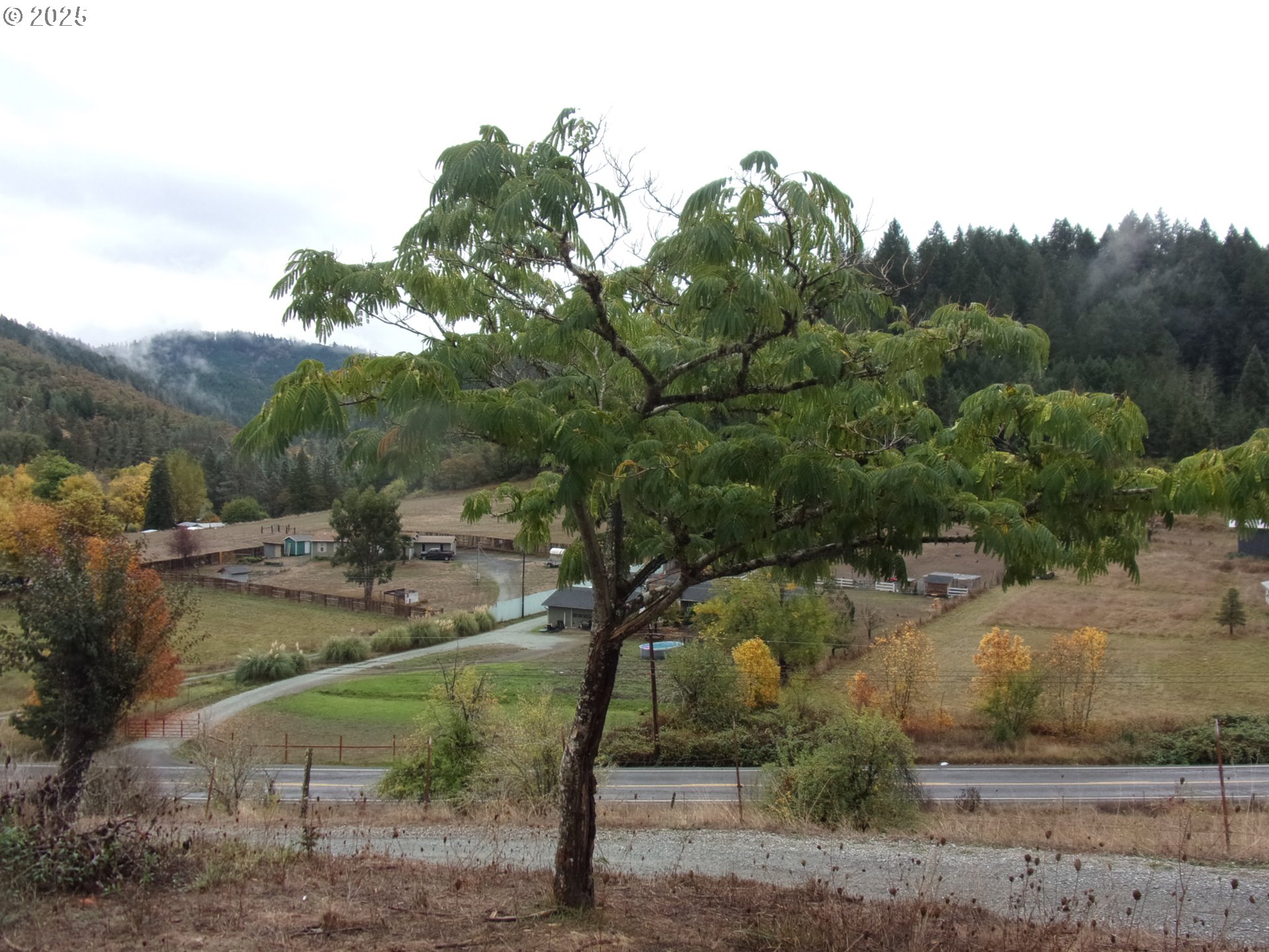 1682 East Riverside Drive Myrtle Creek, OR 97457 - Photo 7 of 32