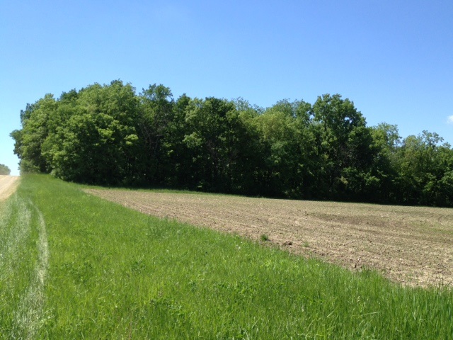 Xxx Mound Road Lena, IL 61048 - Photo 4 of 9