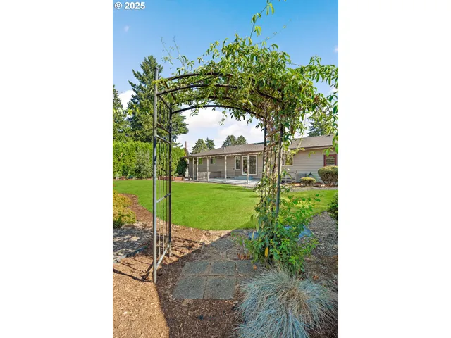 a view of a garden with a tree