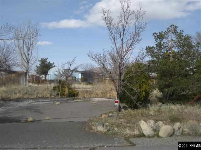 16175 Rhyolite Circle Reno, NV 89521 - Photo 1 of 8 a view of road and trees