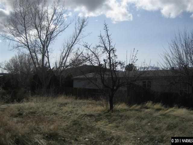 16175 Rhyolite Circle Reno, NV 89521 - Photo 7 of 8 a view of a yard