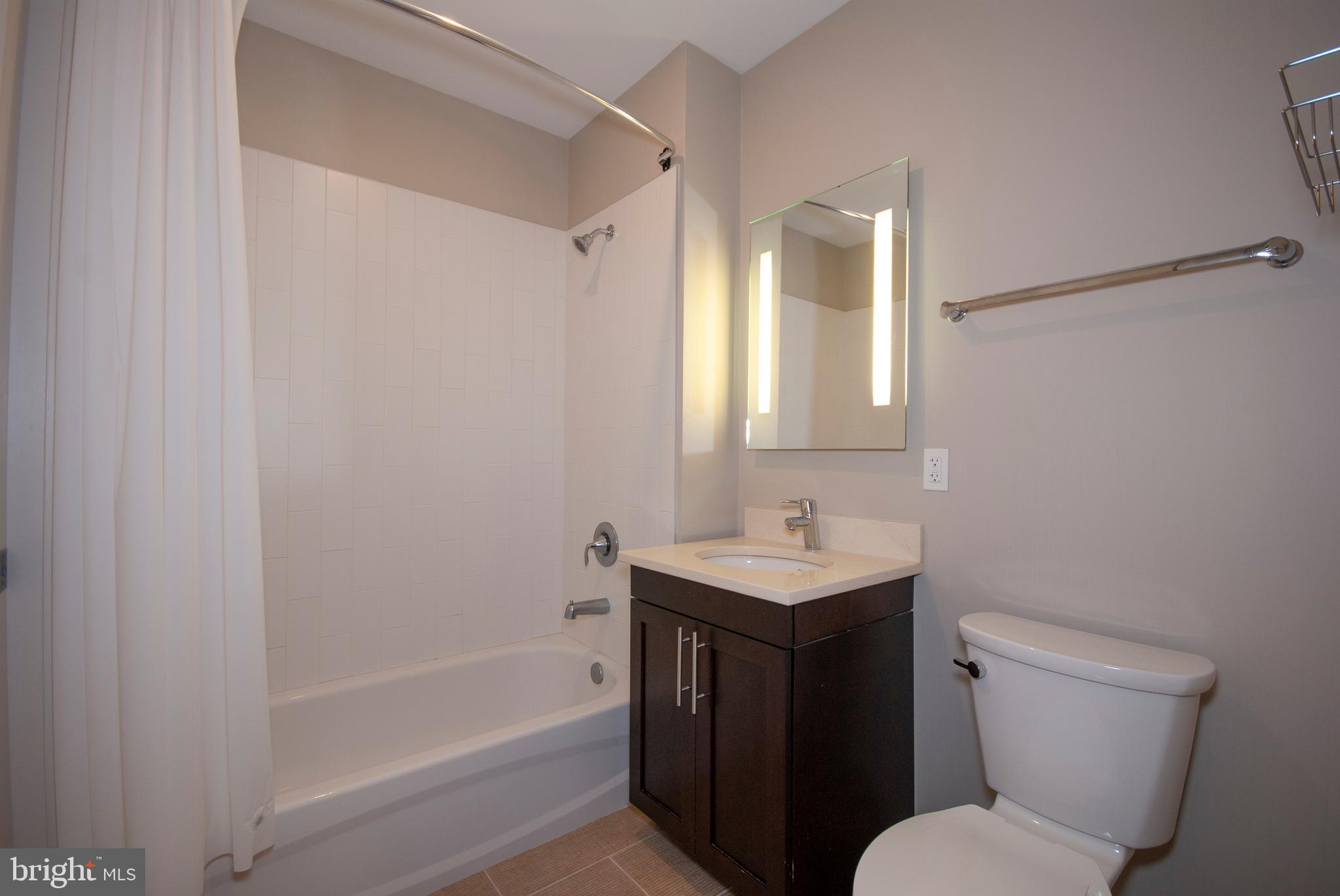 1320 Fenwick Lane, Unit 307 Silver Spring, MD 20910 - Photo 14 of 35 Bathroom