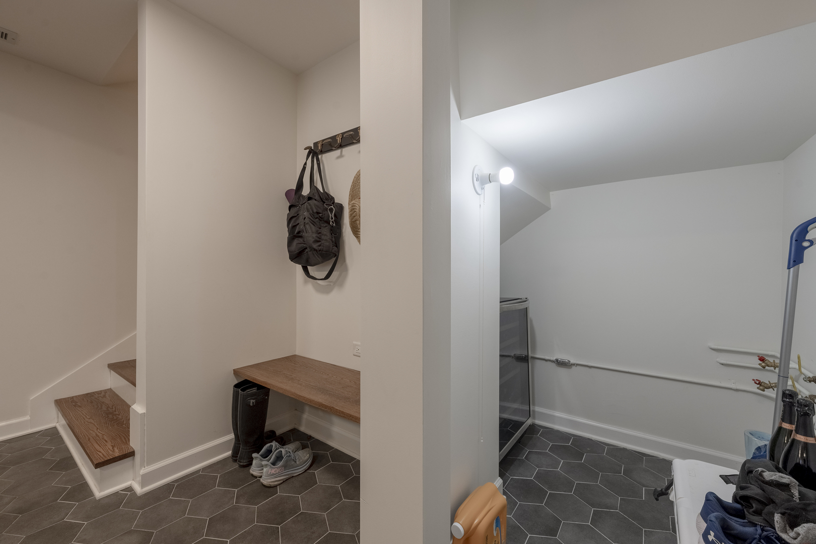 558 West Belden Avenue Chicago, IL 60614 - Photo 57 of 62 a room with a chair and a potted plant