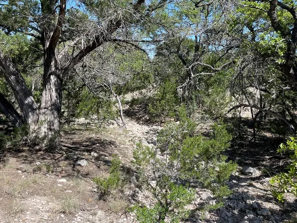$120,000 | 0 Cr 450 Rocksprings Tx 78880, Rocksprings, TX 78880