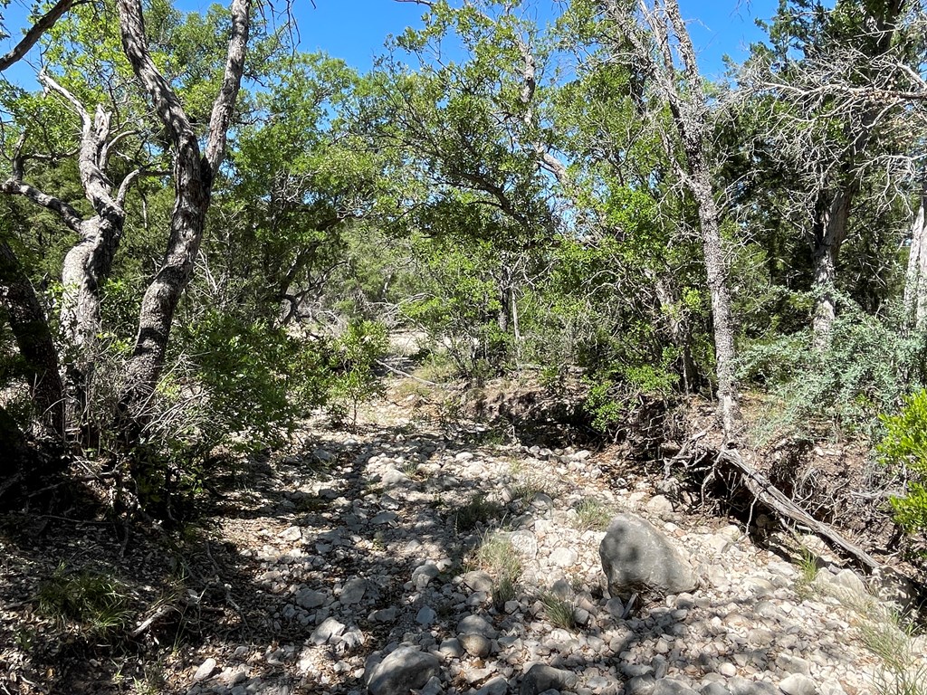 0 Cr 450 Rocksprings Tx 78880 Rocksprings, TX 78880 - Photo 11 of 34