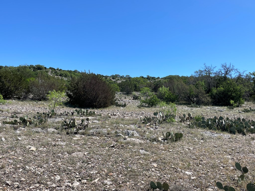 0 Cr 450 Rocksprings Tx 78880 Rocksprings, TX 78880 - Photo 12 of 34