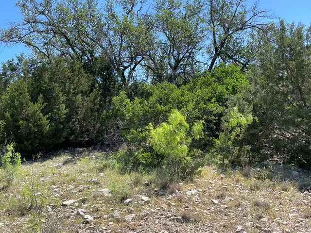 a view of outdoor space and trees