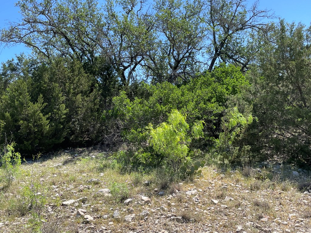 0 Cr 450 Rocksprings Tx 78880 Rocksprings, TX 78880 - Photo 14 of 34